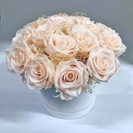 Flowerbox Rose Stabilizzate luxury