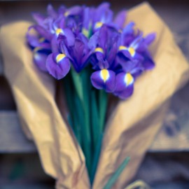 Bouquet Iris