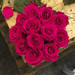 Composizione Rose Stabilizzate-3943 Composizione Rose Stabilizzate-3943