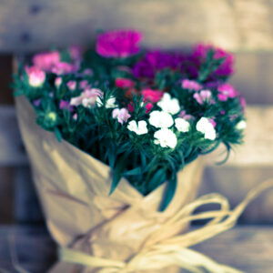 Bouquet Cinesini-0 Bouquet Cinesini-0