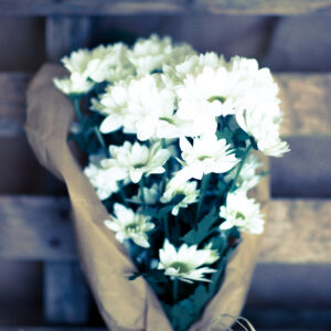 Bouquet Margherite-0 Bouquet Margherite-0