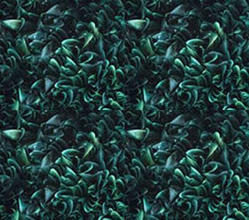 Parete di Alianthus-0