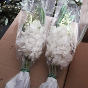 Bouquet Orchidee-6449 Bouquet Orchidee-6449