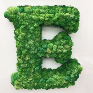 Lettere di Lichene Verde Stabilizzato-4533