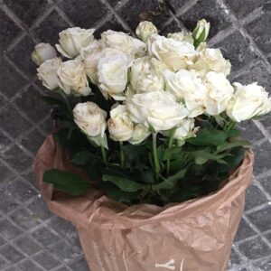 Bouquet Roselline-4572 Bouquet Roselline-4572