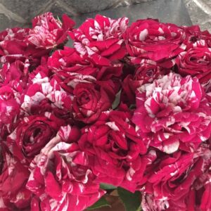 Bouquet Roselline-4577 Bouquet Roselline-4577