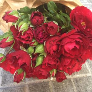 Bouquet Roselline-4573 Bouquet Roselline-4573