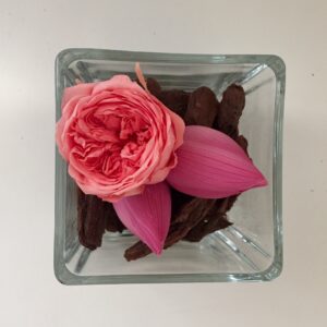 40 composizioni con boccioli di fiori di loto stabilizzati-5629 40 composizioni con boccioli di fiori di loto stabilizzati-5629