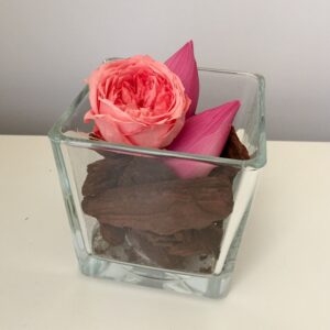 40 composizioni con boccioli di fiori di loto stabilizzati-5628 40 composizioni con boccioli di fiori di loto stabilizzati-5628