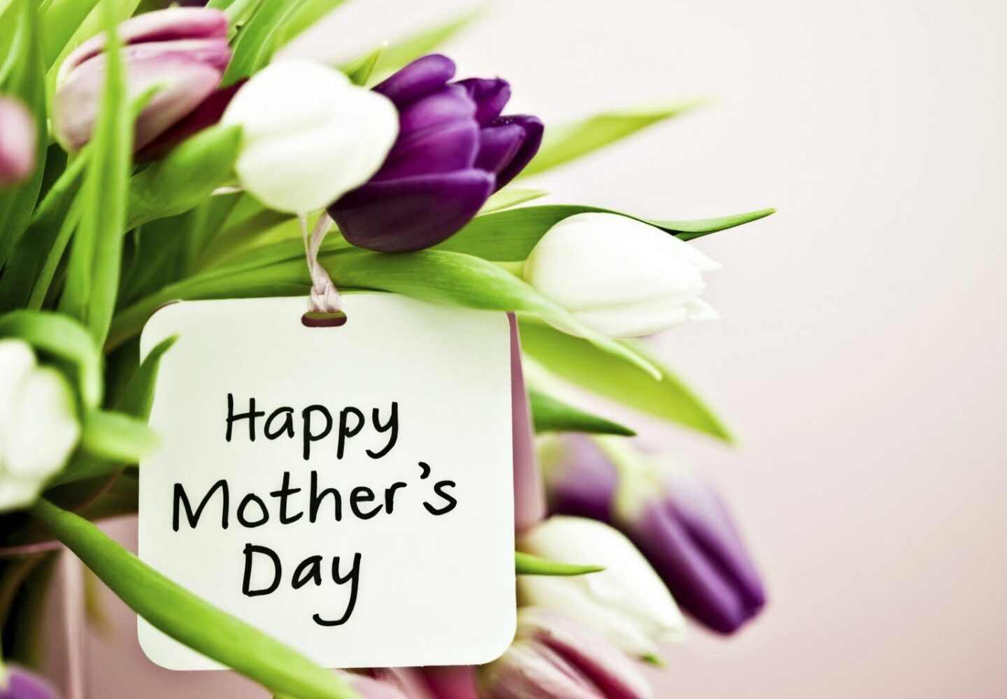 regalare fiori alla mamma