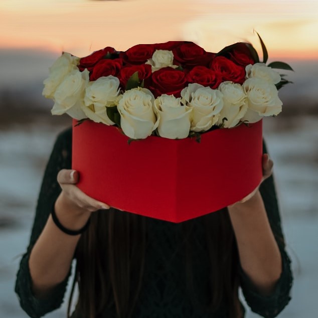 heart heart