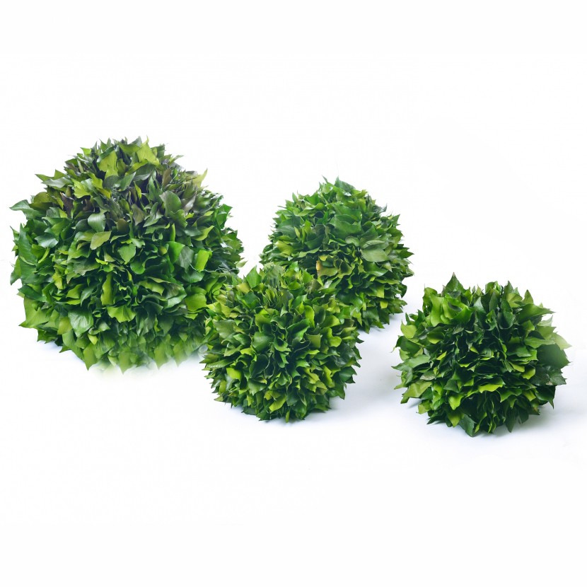 hedera_ball hedera_ball