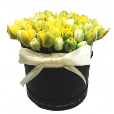 tulip_giallo tulip_giallo